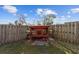 Backyard showing a chicken coop against a wooden privacy fence with plantings at 5640 Se 21St Ln, Ocala, FL 34480