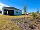 Landscaped backyard with covered patio and young trees at 8592 Hempstead Way, Mount Dora, FL 32757