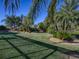 Lush landscaping with tropical plants and palm trees at 1877 Quailey Ct, The Villages, FL 32163