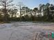 Scenic backyard view with lush trees in a serene and tranquil natural setting at 42157 Tamarac St, Eustis, FL 32736