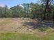 A vacant piece of property ready for building or development at 42200 Chinaberry St, Eustis, FL 32736