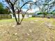 Backyard with grassy area, trees, and wooden fence at 61 Fir Dr, Ocala, FL 34472
