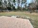 Large backyard with patio and wooded area at 61 Fir Dr, Ocala, FL 34472