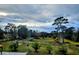 Serene backyard with lush green grass and mature trees at 3180 Sixma Rd, Lake Helen, FL 32744