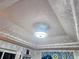 Modern ceiling fan with light fixture at 3180 Sixma Rd, Lake Helen, FL 32744