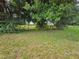 Wooded area with grassy area and fence at 3180 Sixma Rd, Lake Helen, FL 32744