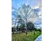 Tall, leafless tree in front of a wooden fence at 3180 Sixma Rd, Lake Helen, FL 32744