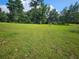 Overgrown vacant lot with tall grass and surrounding trees at 3180 Sixma Rd, Lake Helen, FL 32744