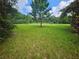 Open grassy lot with a single tree and some vegetation at 3180 Sixma Rd, Lake Helen, FL 32744