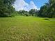 Vacant lot featuring a grassy field and lush trees at 3180 Sixma Rd, Lake Helen, FL 32744