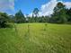 Vacant lot with grassy field and a line of trees at 3180 Sixma Rd, Lake Helen, FL 32744