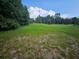 Spacious grassy lot surrounded by trees at 3180 Sixma Rd, Lake Helen, FL 32744