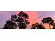 Beautiful sunset with colorful clouds at 3180 Sixma Rd, Lake Helen, FL 32744
