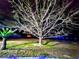 Landscaped yard at night with blue lights at 3180 Sixma Rd, Lake Helen, FL 32744