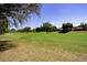 Landscaped golf course with mature trees and lush greens at 3817 Doune Way, Clermont, FL 34711