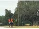 Two people horseback riding down a tree-lined road at 43140 Hossin Around Ln, Altoona, FL 32702