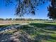 Scenic view of a lush golf course at 640 Ternberry Forest Dr, The Villages, FL 32162