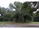 Wooded backyard with mature oak trees at 9622 Dr Baker Rd, Groveland, FL 34736