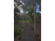 Wooden boardwalk path through lush forest at 9622 Dr Baker Rd, Groveland, FL 34736