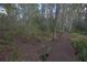 Dark brown boardwalk in a wooded area at 9622 Dr Baker Rd, Groveland, FL 34736
