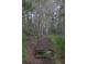 Boardwalk winding through a wooded area at 9622 Dr Baker Rd, Groveland, FL 34736