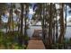 Wooden dock extending into a lake surrounded by trees at 9622 Dr Baker Rd, Groveland, FL 34736