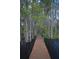 Long wooden dock extending into a cypress swamp at 9622 Dr Baker Rd, Groveland, FL 34736