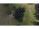 Aerial view of a pond with a wooden dock at 9622 Dr Baker Rd, Groveland, FL 34736