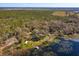 Breathtaking aerial view of property with lake access, lush forestry, dock, and generous land outlined in green at 6100 Windmill Rd, Leesburg, FL 34748