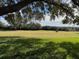 View of a grassy backyard with trees and a golf cart in the distance at 9001 Village Green Blvd, Clermont, FL 34711