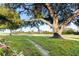 Landscaped yard with large oak tree and path at 9001 Village Green Blvd, Clermont, FL 34711