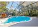 Inviting screened pool with a spacious deck at 1209 Elysium Blvd, Mount Dora, FL 32757