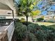 Neatly landscaped front yard with palm tree and shrubs at 24947 Cranes Roost Cir, Leesburg, FL 34748