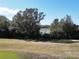 Scenic view of a lake with lush vegetation at 24947 Cranes Roost Cir, Leesburg, FL 34748