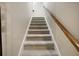 Carpeted staircase with wooden handrail at 25833 Feather Ridge Ln, Sorrento, FL 32776