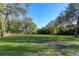 Large grassy backyard with lush landscaping and mature trees at 2614 W Ponkan Rd, Apopka, FL 32712