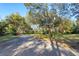 Driveway leading to the house through lush trees at 2614 W Ponkan Rd, Apopka, FL 32712