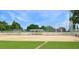 Well-maintained baseball field with dugouts at 27527 Briar Patch Pl, Leesburg, FL 34748