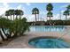 Relaxing spa and pool with palm trees and lounge chairs at 3951 Kennebunk Loop, Mount Dora, FL 32757