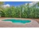 Inviting kidney-shaped pool with surrounding brick patio at 5036 Gandross Ln, Mount Dora, FL 32757