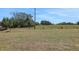 Expansive backyard with lush green grass, offering ample space for outdoor activities and play at 5131 Firebush Dr, Apopka, FL 32712