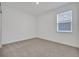 Bright bedroom featuring neutral carpet, white walls, and natural light from one large window at 5131 Firebush Dr, Apopka, FL 32712