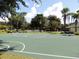 Outdoor basketball court surrounded by lush greenery, providing a recreational space for residents at 9565 Se 124Th Loop, Summerfield, FL 34491