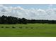 Wide shot of a lush green golf course with tee boxes and rolling hills under a partially cloudy sky at 9565 Se 124Th Loop, Summerfield, FL 34491