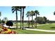 Scenic view of a golf course with palm trees, manicured fairways, and lush greenery under a blue sky at 9565 Se 124Th Loop, Summerfield, FL 34491