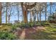 Landscaped backyard with a tire swing and view of a lake at 9724 Rosemary Ln, Leesburg, FL 34788