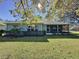 Spacious backyard with lush green grass and mature trees at 163 Crepe Myrtle Dr, Groveland, FL 34736