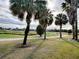 Golf course path lined with palm trees at 2010 Allure Loop, The Villages, FL 32162