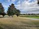 Scenic view of a lush green golf course with mature trees and houses in the background at 2010 Allure Loop, The Villages, FL 32162