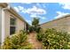 Landscaped backyard with stone pathway and lush greenery at 2096 Odessa Cir, The Villages, FL 32162